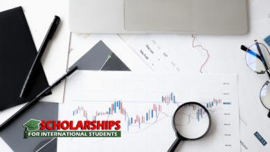 Lecturer in Medical Statistics