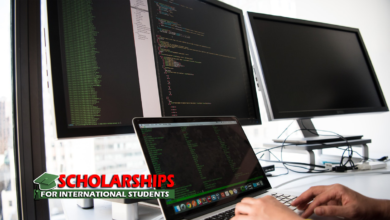 Research Software Engineer