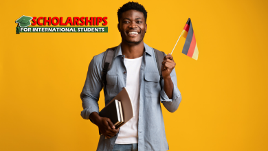 SBW Berlin Scholarships in Germany