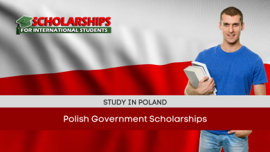 Polish Government Scholarships