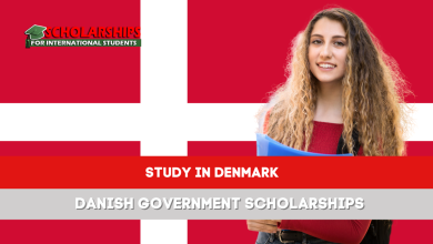 Danish Government Scholarships