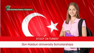 Ibn Haldun University Scholarships